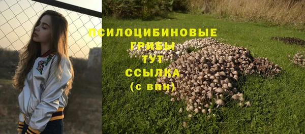 марки lsd Белокуриха