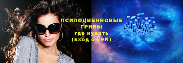 марки lsd Белокуриха