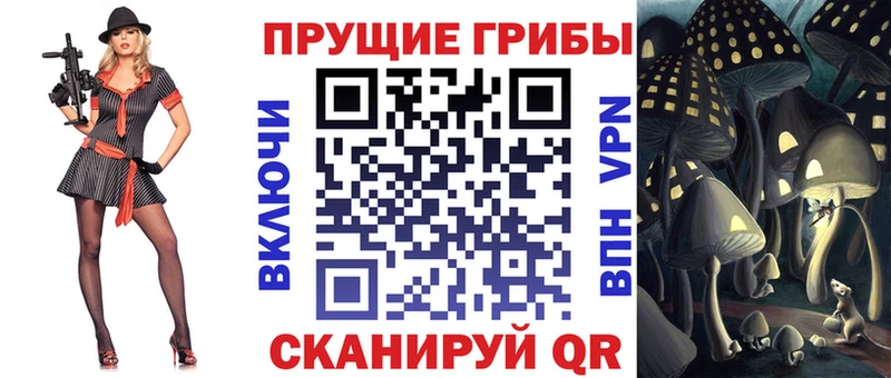 Галлюциногенные грибы GOLDEN TEACHER  Сланцы 