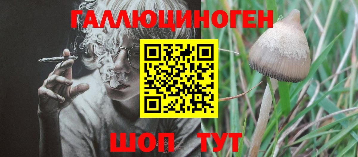 Галлюциногенные грибы GOLDEN TEACHER  Галлюциногенные грибы прущие грибы  Вход с VPN  Сланцы 
