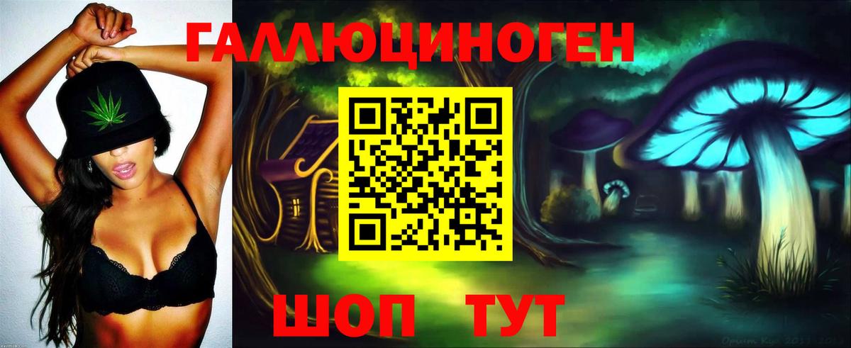 Галлюциногенные грибы Magic Shrooms Сланцы